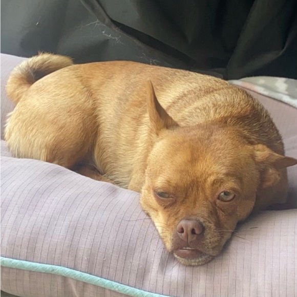 Meet your Posher, Bethany - Picture 3 of 9